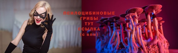 ALPHA PVP Алексин