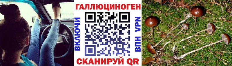 Галлюциногенные грибы Cubensis  Тихвин 