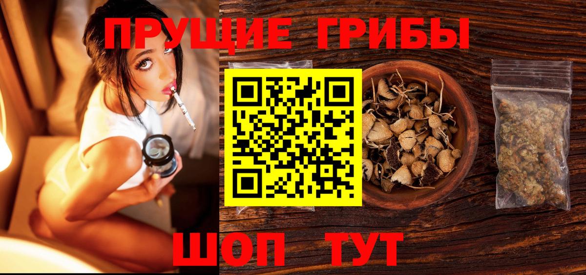 Галлюциногенные грибы прущие грибы  Псилоцибиновые грибы Psilocybe  купить наркотики сайты  Тихвин  Вход с VPN 