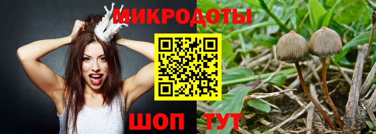 Псилоцибиновые грибы мицелий Тихвин